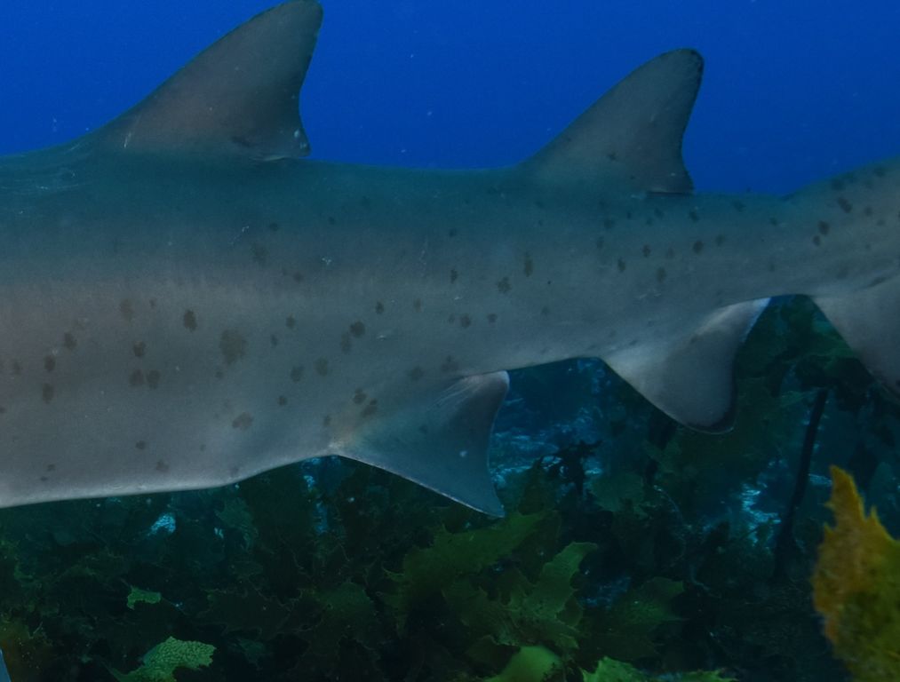 6b1b94cb-9994-4335-9b20-e870b1cf7ad1