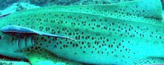 e1b74aac-2abd-41a9-a3aa-51fc939417f8