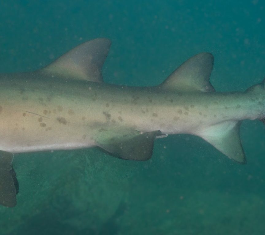 86ca6564-4c6a-40ff-9045-974d74225573