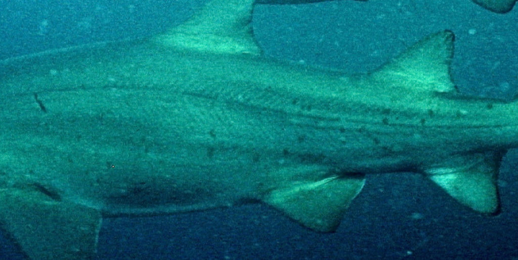 6b6664b8-8d8a-49b8-9633-1adf8345f6b9