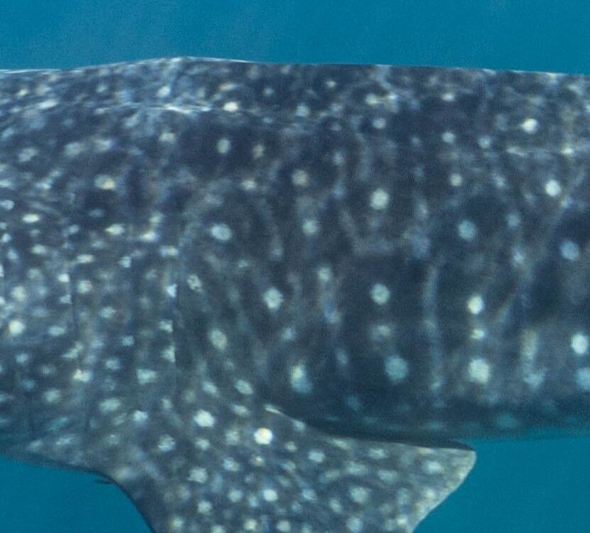 36b124b4-f7b4-48a3-92bf-b75b203ba185