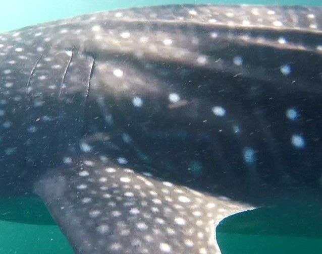 dc1c0b5e-89a6-4a39-b36f-5e8616ec8409