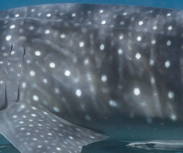 1f5b4a76-600f-4614-92bc-e32a935f9391