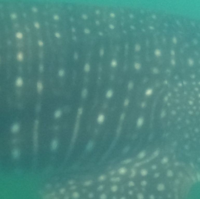 66218fc4-9e58-4ed8-af80-ead87d28e6d6