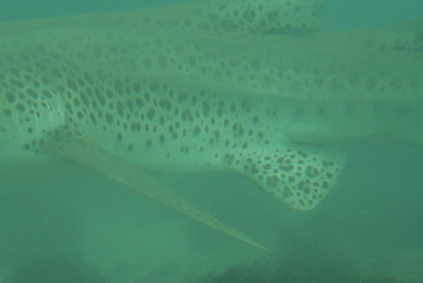 f6483acc-1f26-4608-80ae-9cc8a54744e9