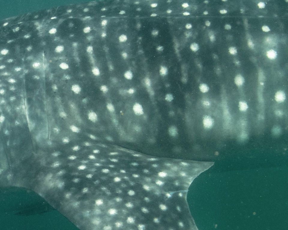 609548aa-ded9-4e81-8628-ef8e3a076fe3