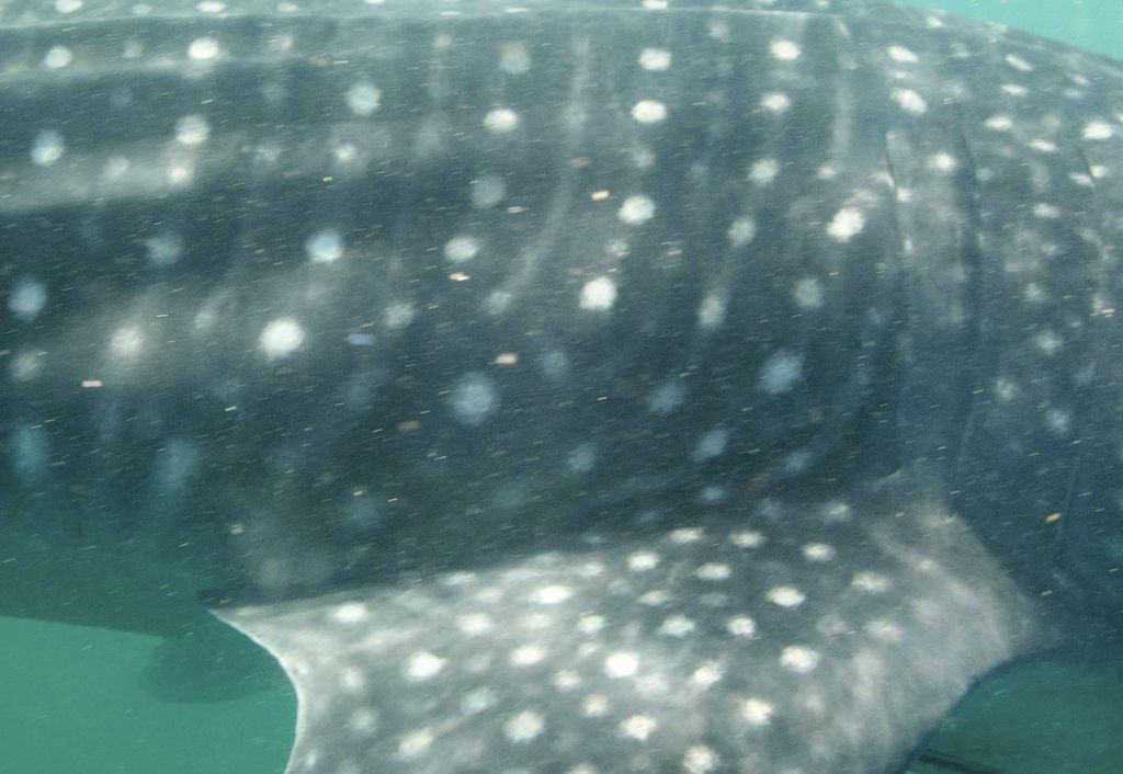 609548aa-ded9-4e81-8628-ef8e3a076fe3