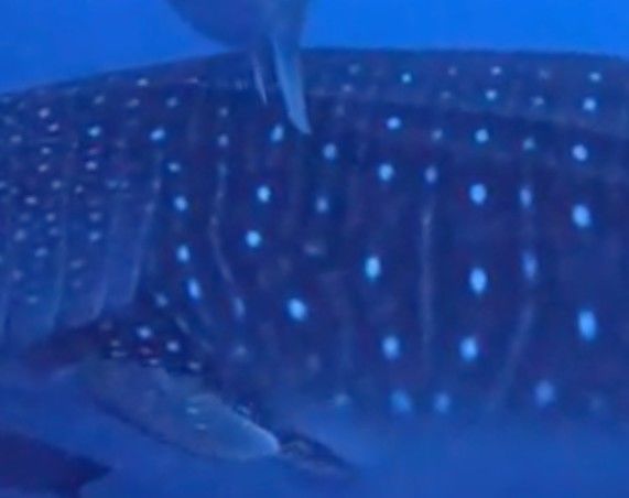 4081bd7d-5a82-46c1-83c9-7456e1a219d8