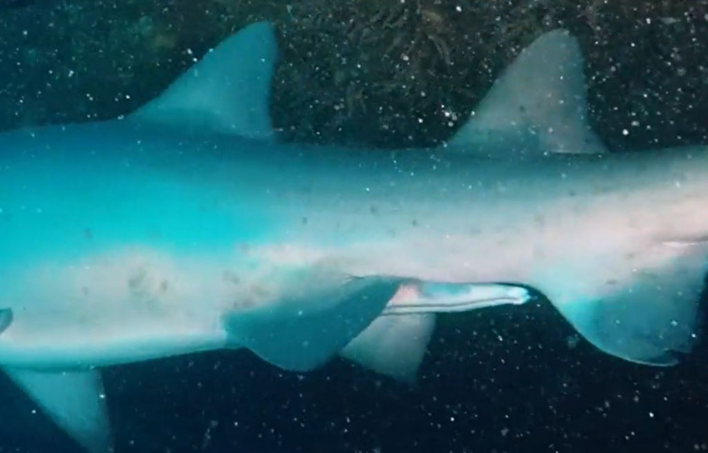 94ee96bb-cfaf-441f-b9a4-bd4836c28f25