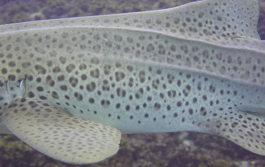 d30cac97-a151-4627-a645-c639673e6595