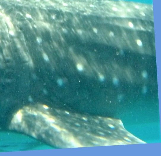 1fb3e489-48cd-46c4-a110-230fd1eefff0