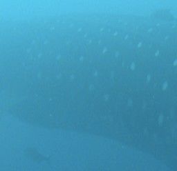 722c4f01-afd7-41af-b6dc-4c597e62b110