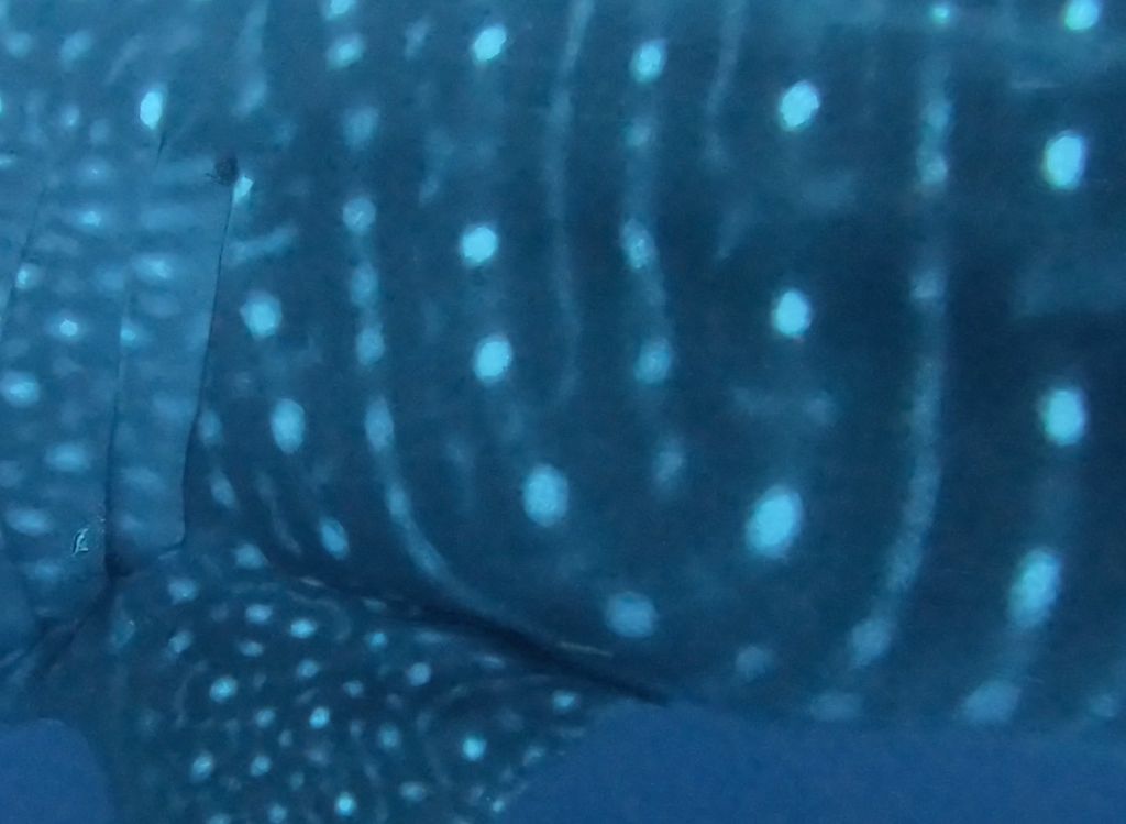 b573333d-a66a-45c6-b25a-66f2369a1a80