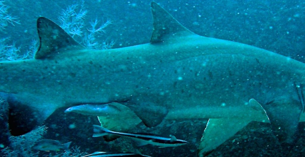 f25ca1fd-5408-47bf-8a31-036869431984