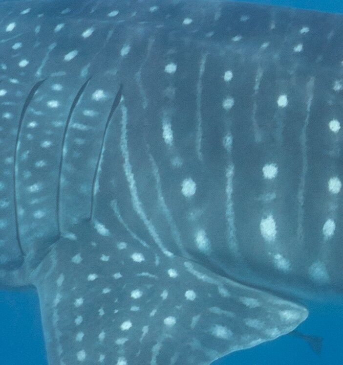 aac5d2b1-69b3-4141-b512-e91b5ce613f0