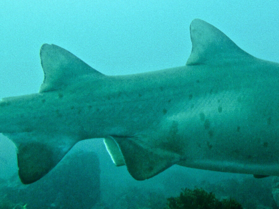 db78e344-f1fa-4e1f-a8c0-9ff21c7044a0