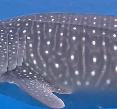 4081bd7d-5a82-46c1-83c9-7456e1a219d8