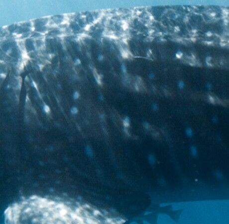 632b304f-f188-4a8b-92d9-7b1a2cff8822