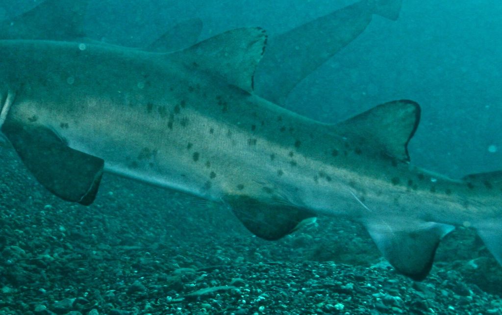 4c5911a2-6f1b-4295-b273-bb033f8d3e4e