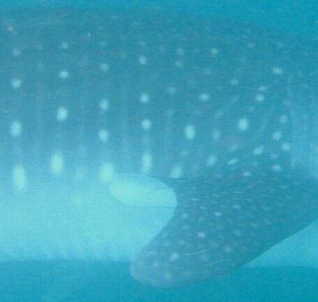 686ac81a-96cc-47b5-ba6a-a44eb341ab2e