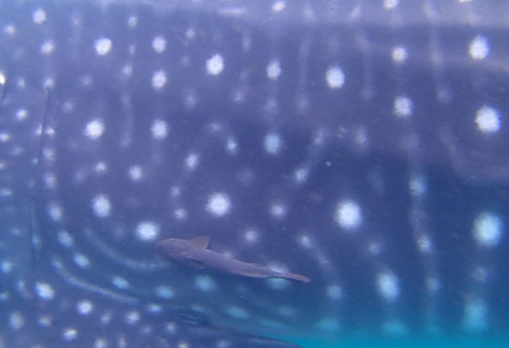 8410ae64-5b40-47ae-916f-a71f34236492