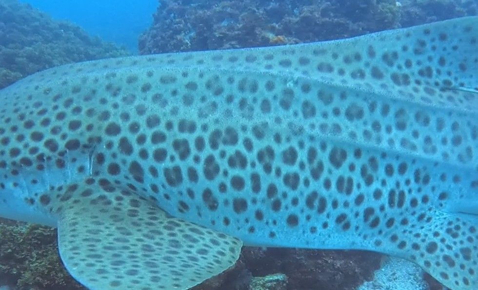 9779591a-3305-42a3-a038-8320758d8b99