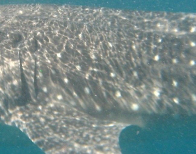 af07891b-9d7b-49b5-bb47-c980fe55f366