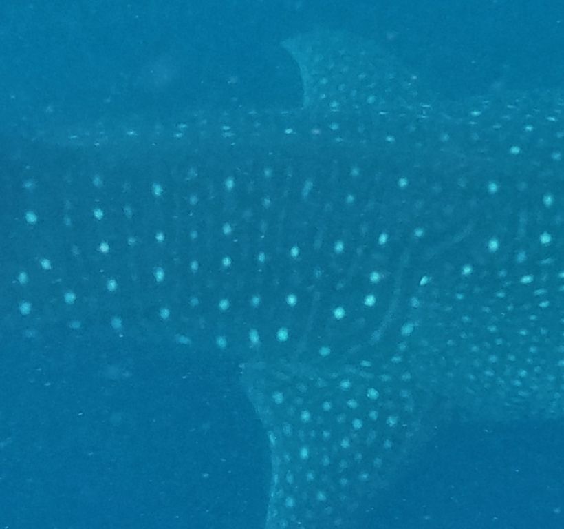 05c69e44-1ab5-45d1-8718-837259dad690