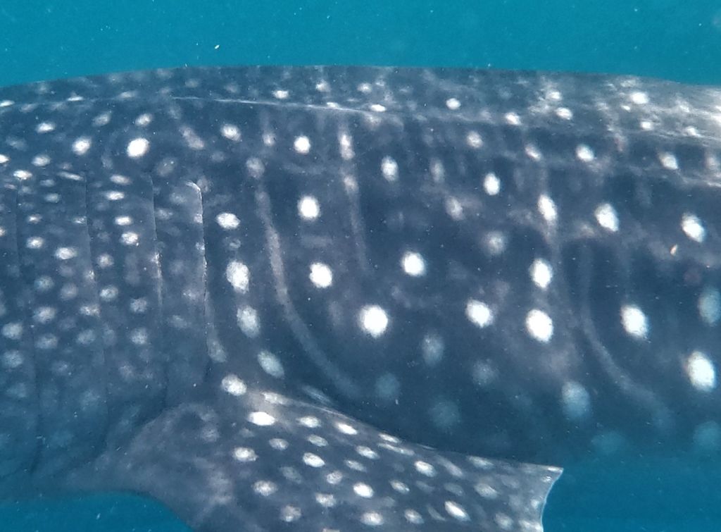 05c69e44-1ab5-45d1-8718-837259dad690