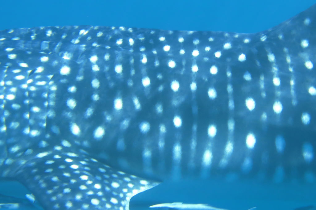 4bb3bae0-cafc-45e7-b94b-7f4d71f3a0aa