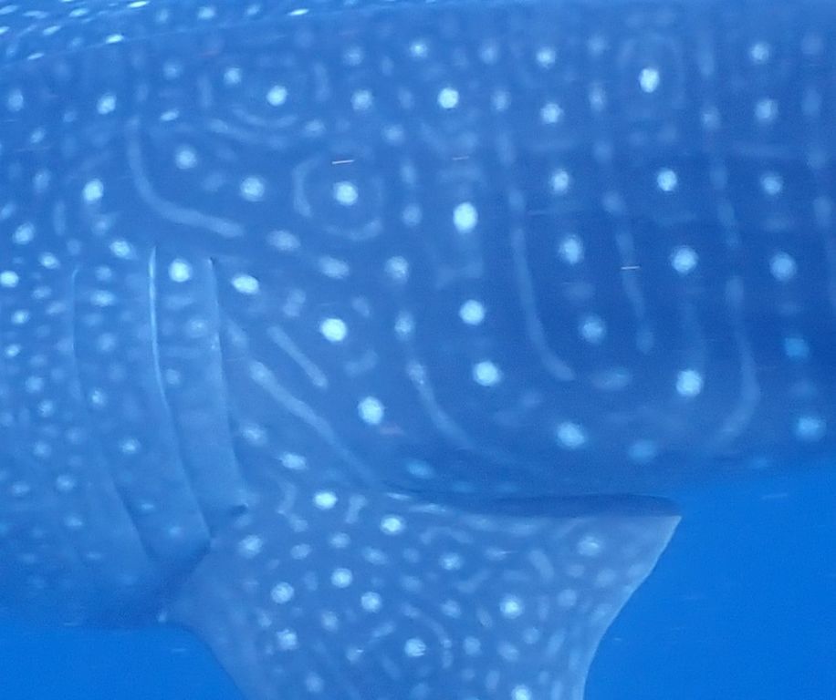 290f69f6-9d92-450f-86ea-6e6f99f60833