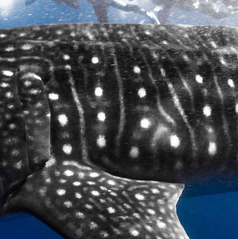 163e5b1c-f782-4eba-b06f-1531d14d7904