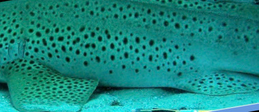 f7d28a98-6907-4cf0-bc1b-1a5be83e0691