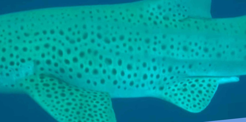 6b880f85-53bb-4526-92ee-79a6907a1644