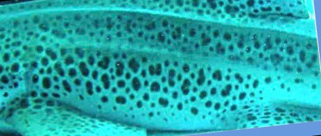 c59fe606-484f-4e43-9877-956129b90628