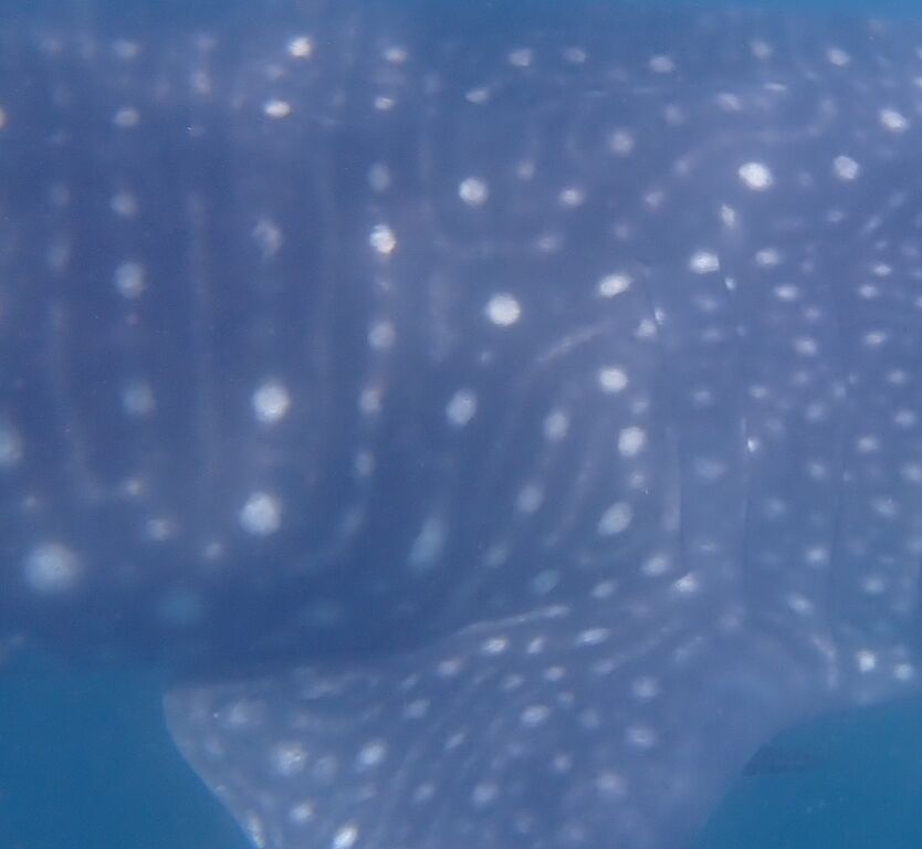 15a3e95c-44e7-493e-b6be-3c93b83c5aaf