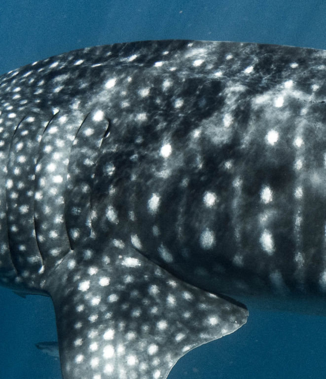 1781226c-ba59-4d5c-ad3a-de4cdcb54cf1