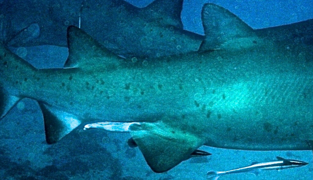 ce0857d2-15bc-4a35-b3d5-f97356aa4d88