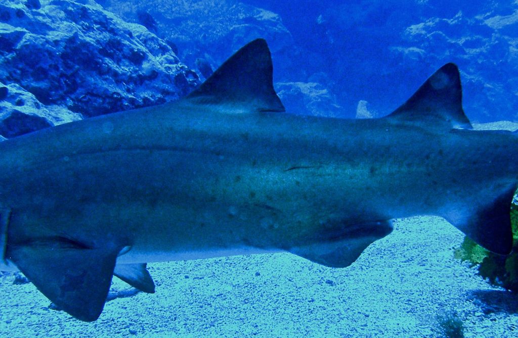 83555084-cbce-4fb1-8891-2995ae890ba3