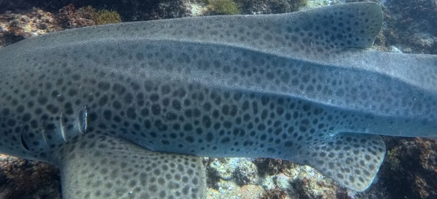 e450915a-9eba-4d67-9524-b9f9a4146cb2