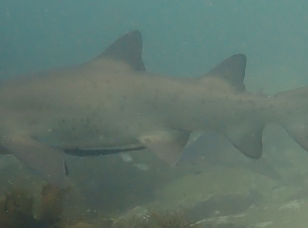 96eb23b2-6d68-4833-80ff-64b30cbcdb79