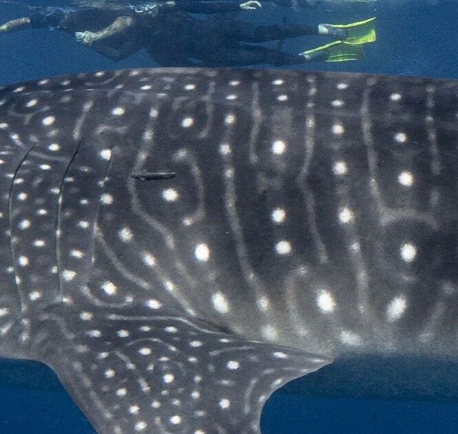 29751c11-7ebe-4998-9a89-ce1f7bade4e2