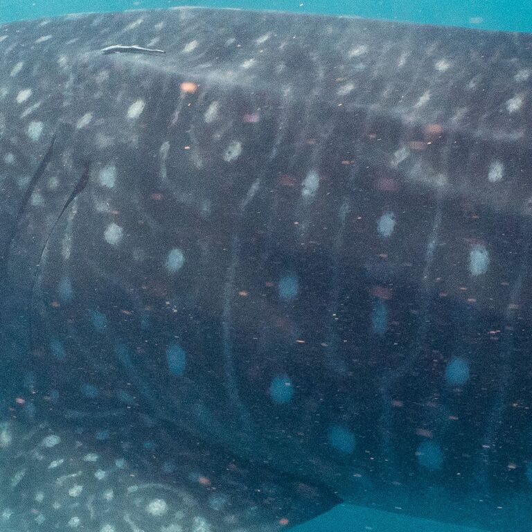 3c47ea5e-43f8-4644-8045-01082a62f57e