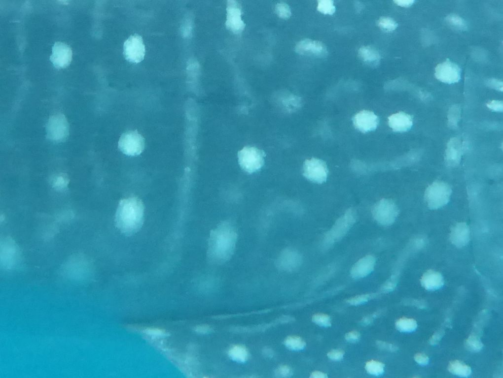 f2089ef6-3446-4003-aa26-e94445aa1593