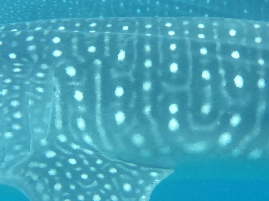 f2089ef6-3446-4003-aa26-e94445aa1593