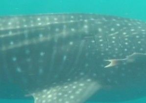 e5d7bd95-9783-4791-a71f-1e2b515e077f