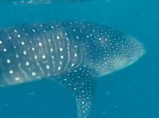 afc84618-ff22-4f92-9c01-aa88f08ed4eb