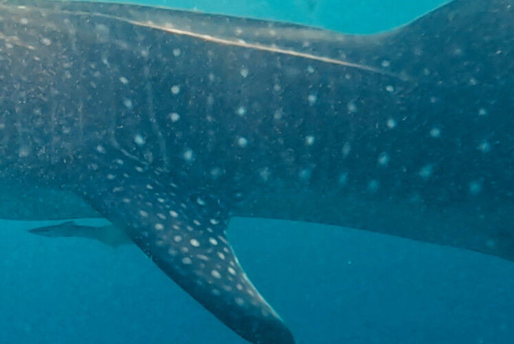 afc84618-ff22-4f92-9c01-aa88f08ed4eb