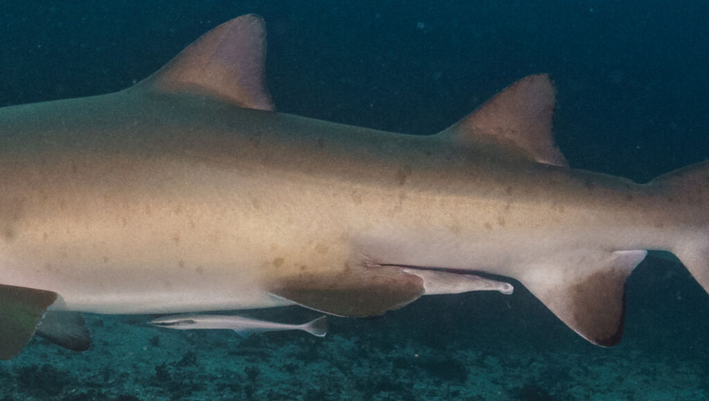 3e56c7ed-c568-40f6-81b6-f7a32513b989