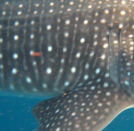 d070107d-9ca9-4fdf-8201-2db6d40c54f3